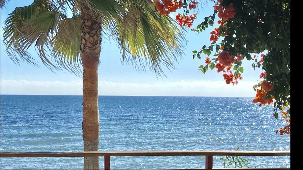Mi Capricho Beachfront- P301 Apartment With Sea View Sitio de Calahonda Eksteriør bilde